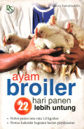 AYAM BROILER: 22 HARI PANEN LEBIH UNTUNG