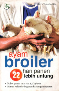 AYAM BROILER: 22 HARI PANEN LEBIH UNTUNG