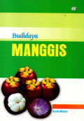 BUDIDAYA MANGGIS