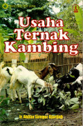 USAHA TERNAK KAMBING