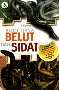 BUDI DAYA BELUT DAN SIDAT