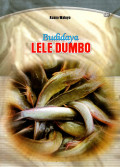 BUDIDAYA LELE DUMBO